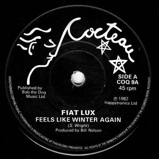 Fiat Lux : Feels Like Winter Again / This Illness (7", Single)