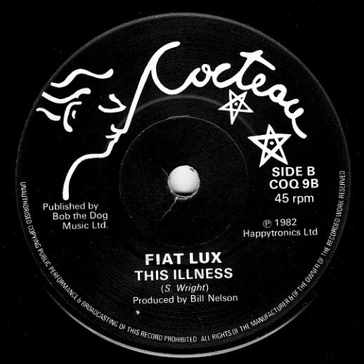 Fiat Lux : Feels Like Winter Again / This Illness (7", Single)