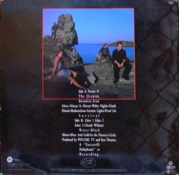 Psychic TV : Dreams Less Sweet (LP, Album + 12", EP, Ltd)