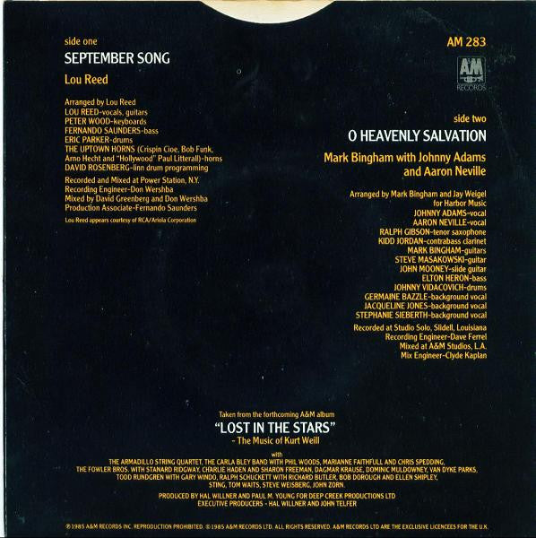 Lou Reed : September Song (7", Single, Pic)