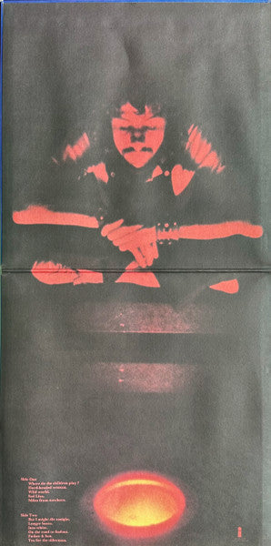 Cat Stevens : Tea For The Tillerman (LP, Album, RE, Pin)