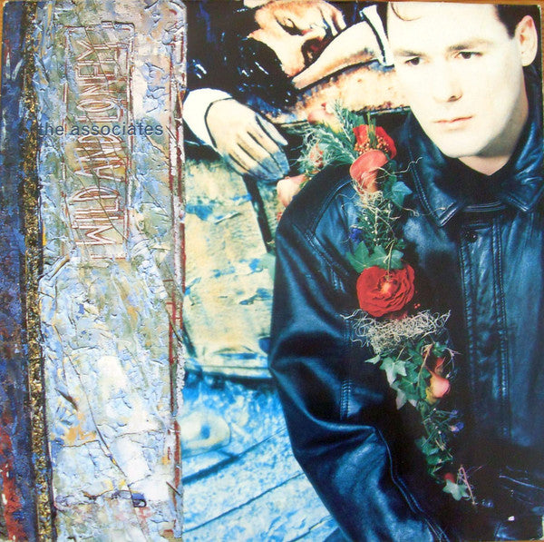 The Associates : Wild And Lonely (LP, Album)