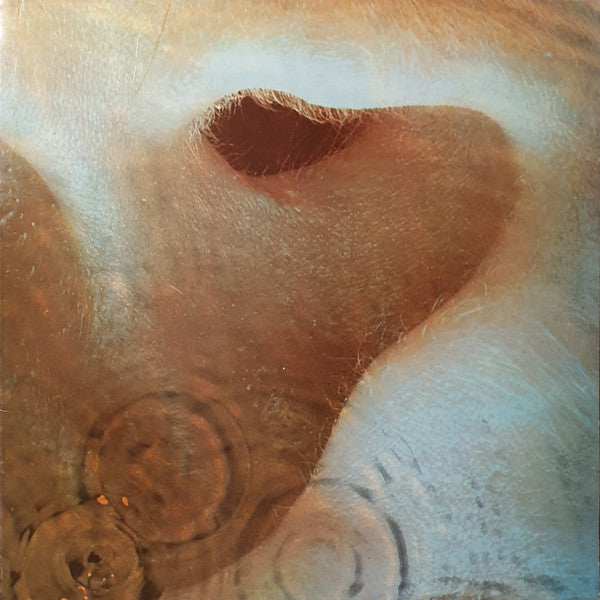 Pink Floyd : Meddle (LP, Album, RE)