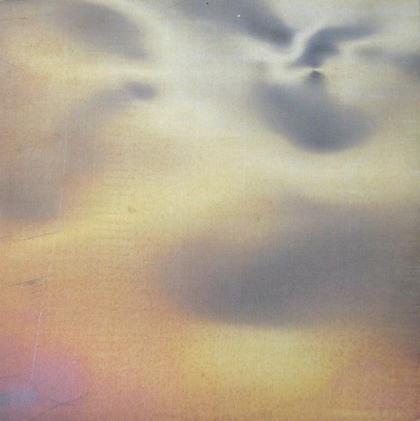 New Order : State Of The Nation / Shame Of The Nation (12", Single)