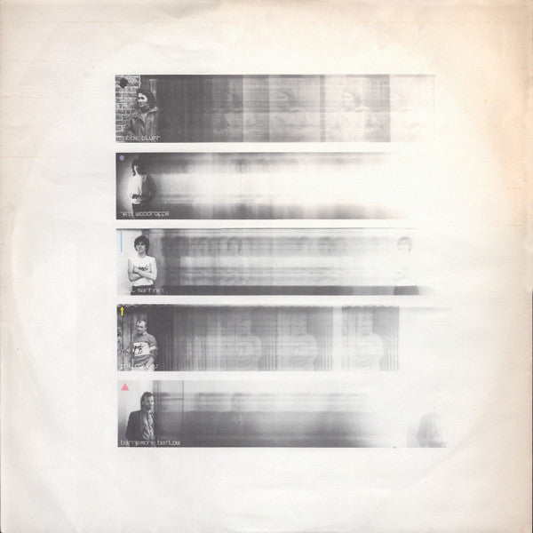Robert Plant : The Principle Of Moments (LP, Album)