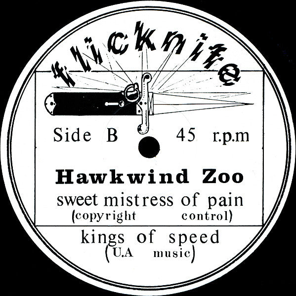 Hawkwind Zoo : Hurry On Sundown • Kings Of Speed (12")