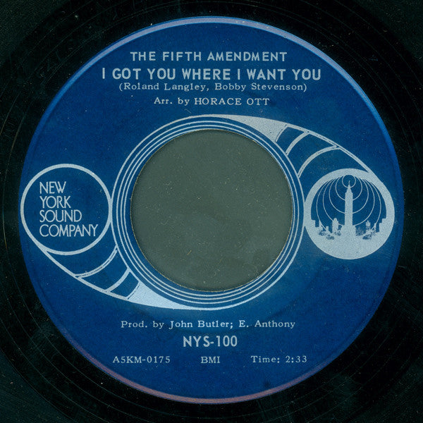 The Fifth Amendment : Please Don't Leave Me Now / I Got You Where I Want You (7")