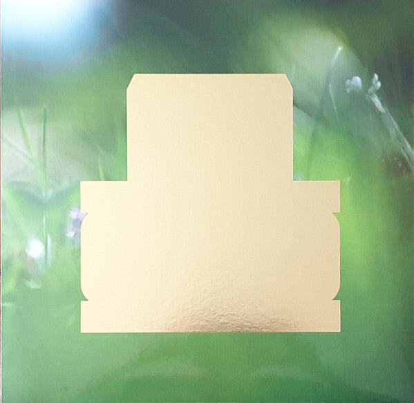 Spiritualized : Everything Was Beautiful (LP, Album)