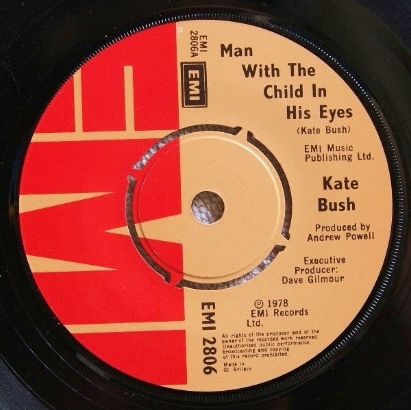 Kate Bush : The Man With The Child In His Eyes (7", Single, Pic)