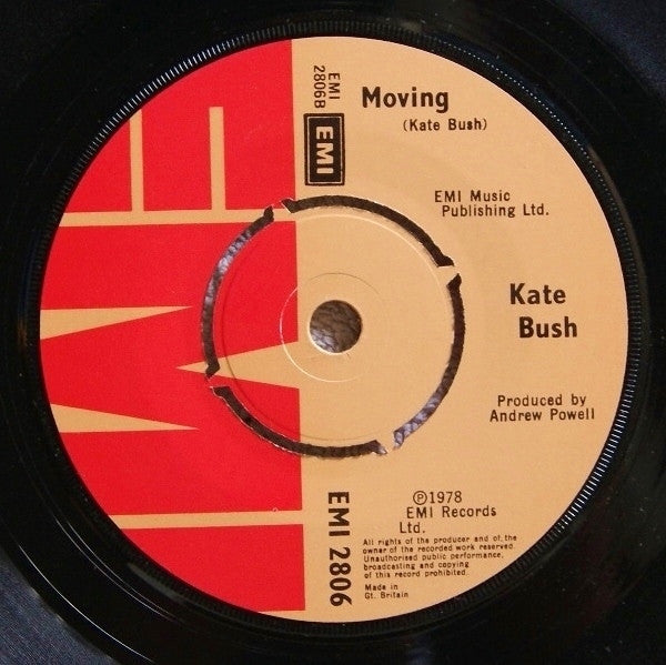 Kate Bush : The Man With The Child In His Eyes (7", Single, Pic)