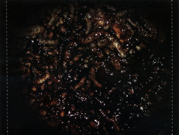 Desecration : Process Of Decay (CD, Album)