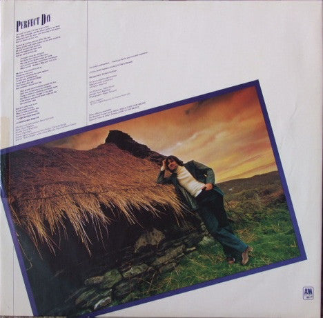Chris de Burgh : At The End Of A Perfect Day (LP, Album)