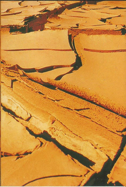 Kyuss : Welcome To Sky Valley (CD, Album)