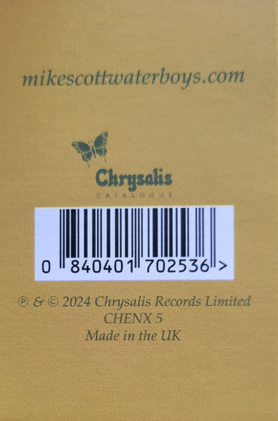 The Waterboys : Fisherman's Blues (LP, Album, Ltd, RE, Yel)