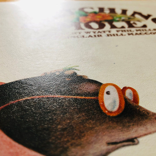Matching Mole : Matching Mole (LP, Album, Tex)