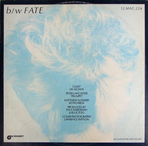 Blue Zoo : I'm Your Man (12")