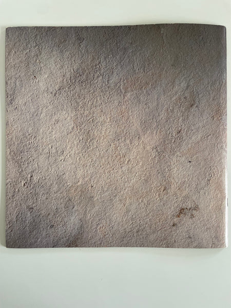 Whitesnake Slip of the Tongue 1990 Tour Programme