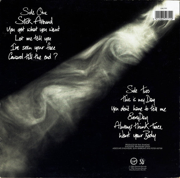 Julian Lennon : The Secret Value Of Daydreaming (LP, Album)