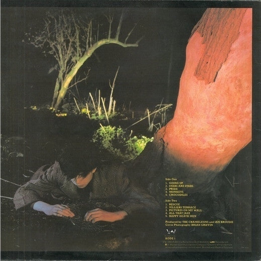 Echo And The Bunnymen* : Crocodiles (LP, Album)