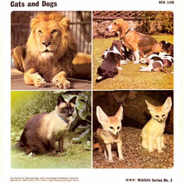 No Artist : Cats And Dogs (LP, Album)