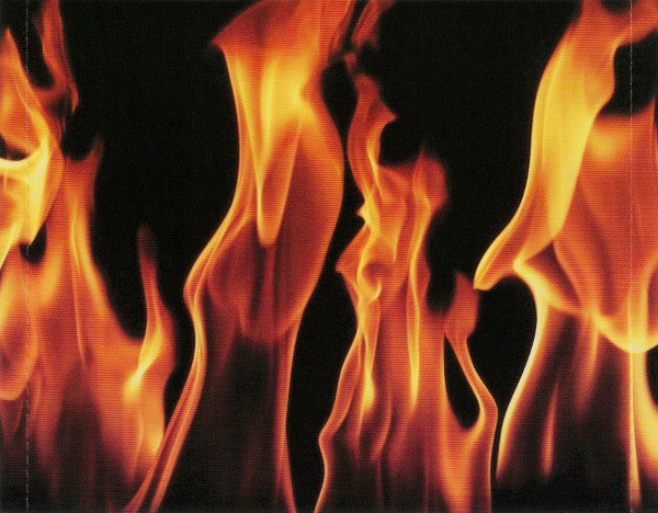 Steel Panther : Feel The Steel (CD, Album, Uni)