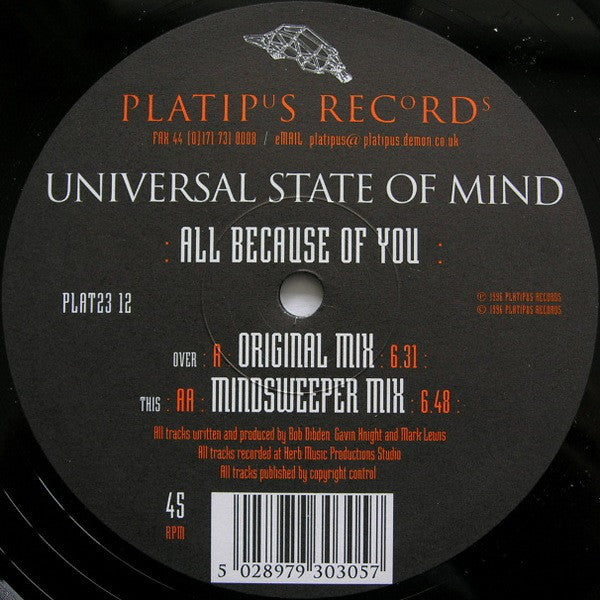 Universal State Of Mind : All Because Of You (12")