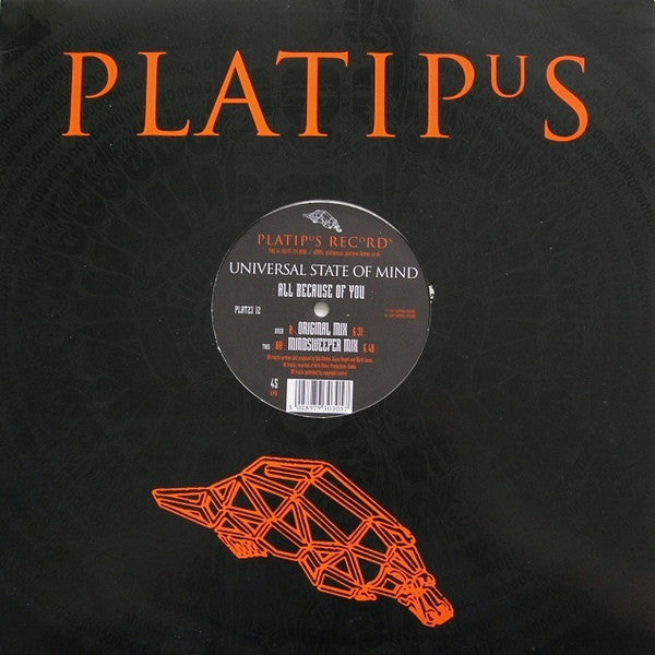 Universal State Of Mind : All Because Of You (12")
