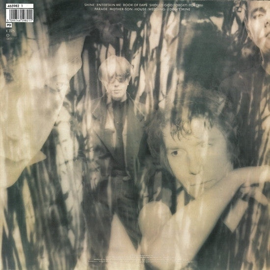 The Psychedelic Furs : Book Of Days (LP, Album)