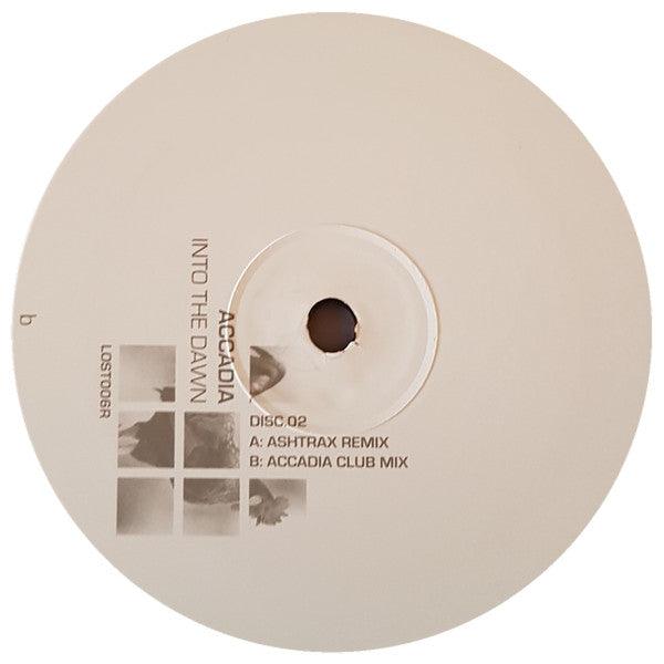 Accadia : Into The Dawn (12", Dis)