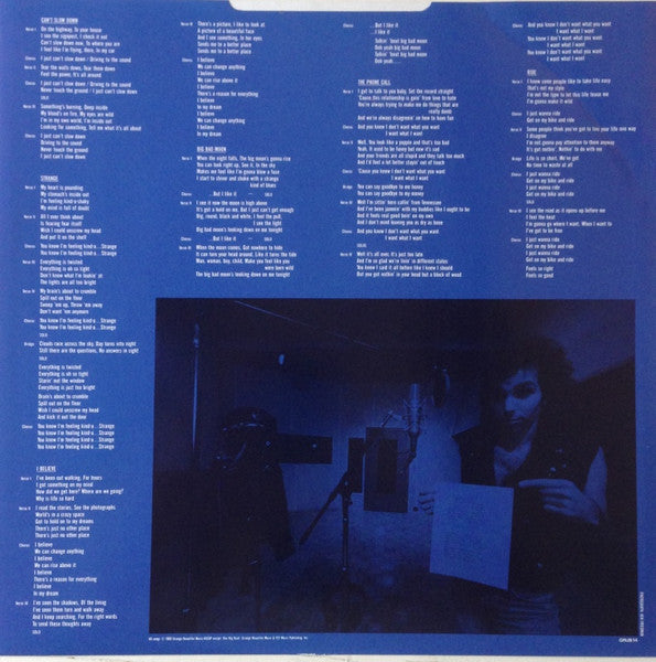 Joe Satriani : Flying In A Blue Dream (LP, Album)