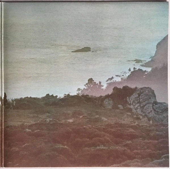 The Doobie Brothers : Stampede (LP, Album, RE)