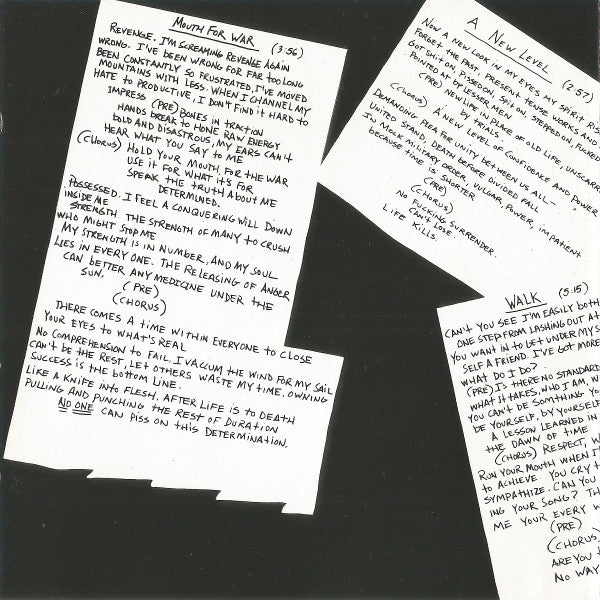 Pantera : Vulgar Display Of Power (CD, Album, RP)