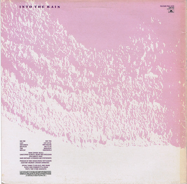 Music For Pleasure : Into The Rain (LP, Album)