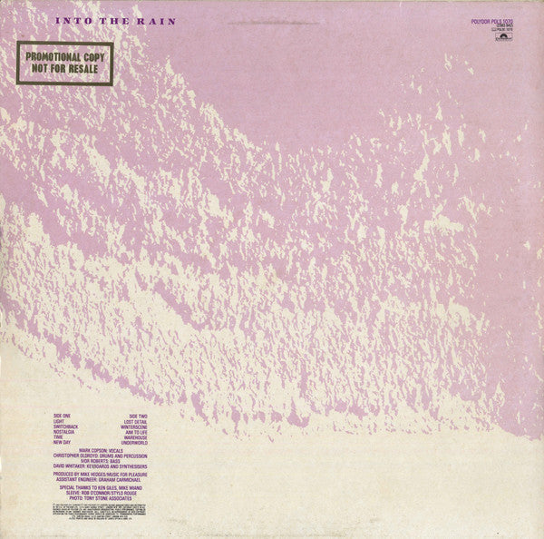 Music For Pleasure : Into The Rain (LP, Album)