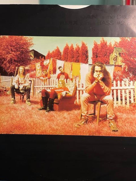 Ned's Atomic Dustbin : Are You Normal? (LP, Album)