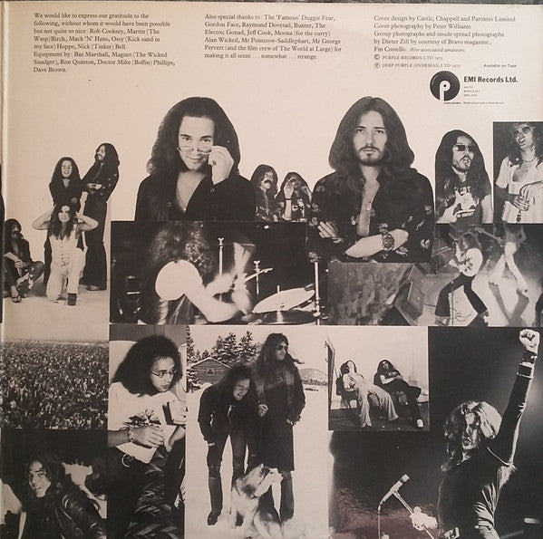 Deep Purple : Come Taste The Band (LP, Album, Gat)