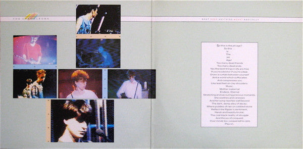 The Chameleons : What Does Anything Mean?  Basically (LP, Album, Ltd, Gat)