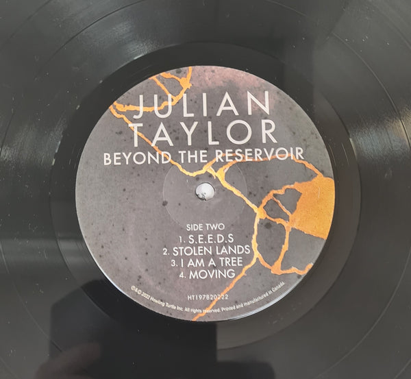 Julian Taylor - Beyond The Reservoir