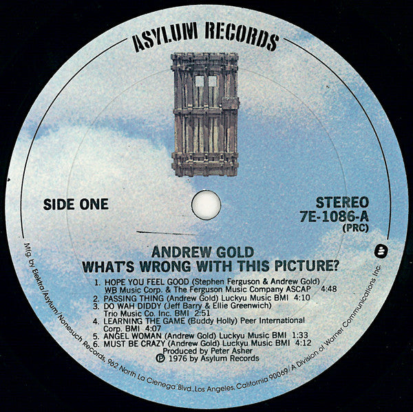 Andrew Gold : What's Wrong With This Picture? (LP, Album, PRC)