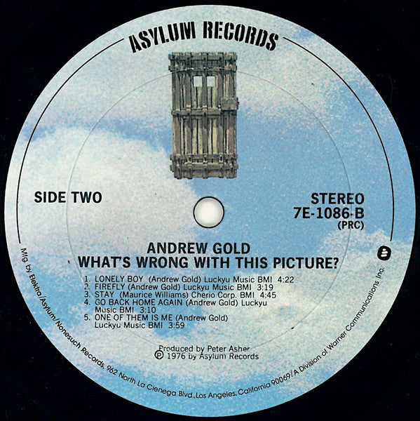 Andrew Gold : What's Wrong With This Picture? (LP, Album, PRC)
